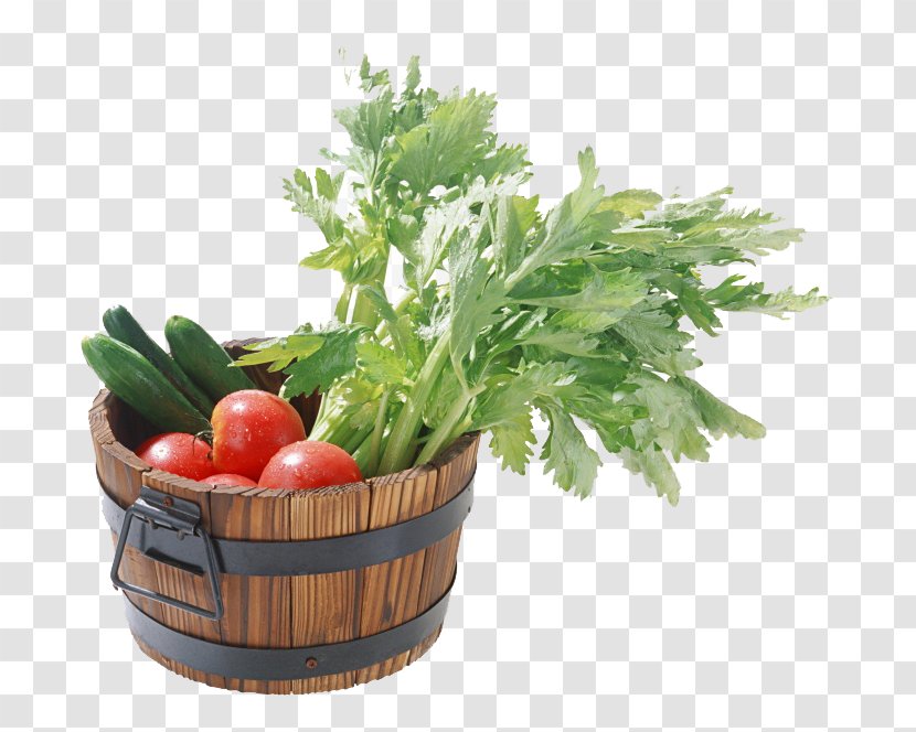 Capsicum Annuum Vegetable Food Starch Tomato - Diet - A Pot Of Vegetables Transparent PNG
