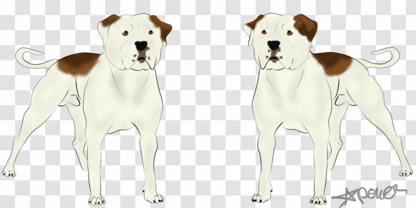 Dog Breed Pet Companion Canidae - Group - Colossus Transparent PNG