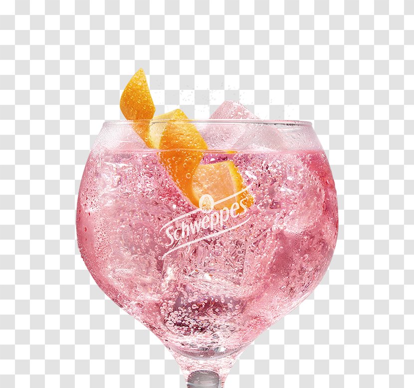 Cocktail Garnish Gin And Tonic Water - Daiquiri Transparent PNG