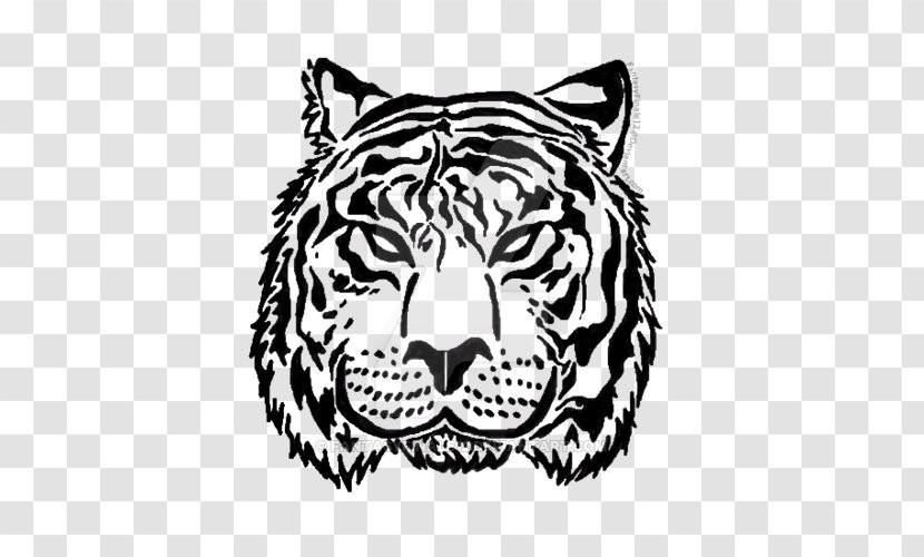 Tiger Lion Image Illustration - White Transparent PNG