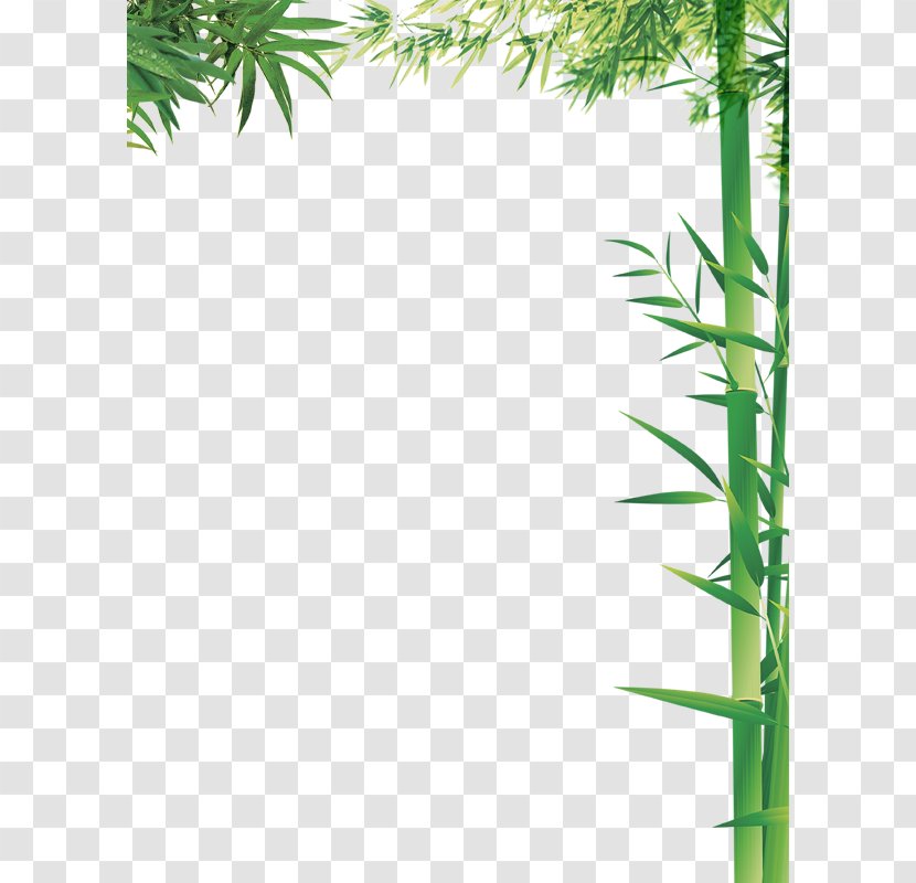 Bamboo Column Bamboe - Grasses - Green Transparent PNG
