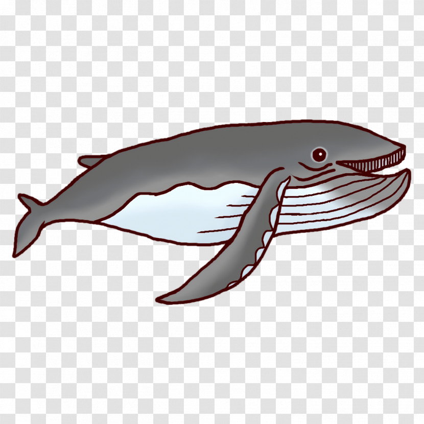 Porpoise Dolphin Fish Font Biology Transparent PNG