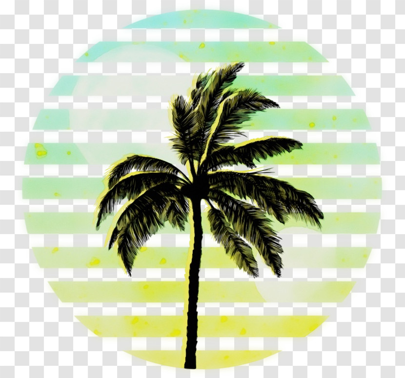 Coconut Transparent PNG