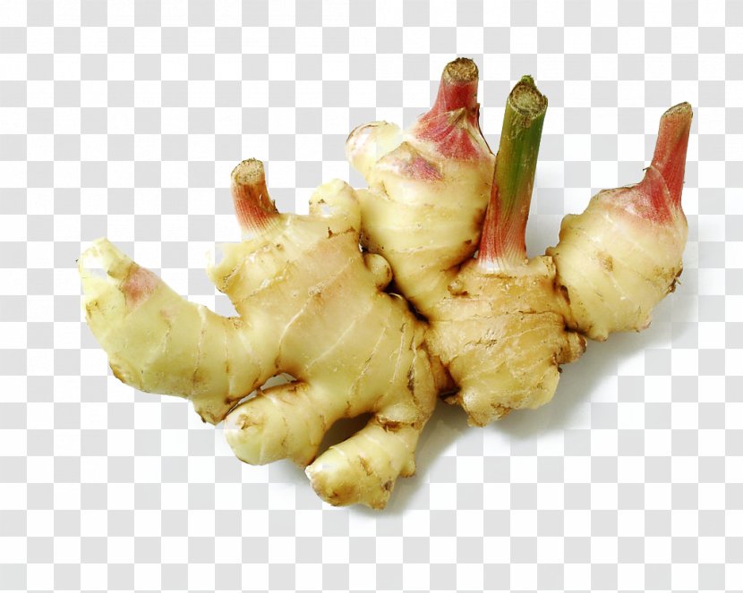 Ginger Beer Seed Vegetable Plant - Root - Tender Transparent PNG