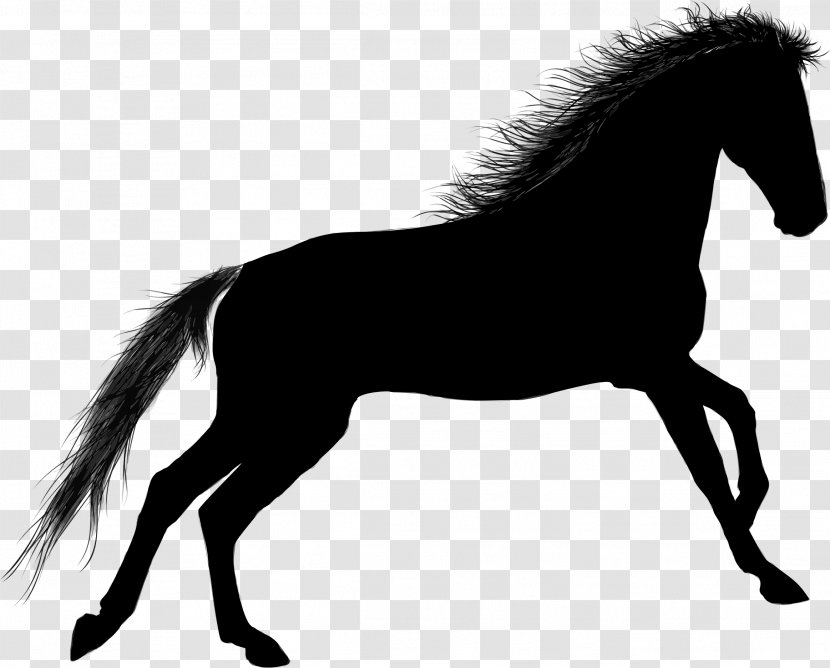 T-shirt Stallion Mustang Pony Friesian Horse - Tack Transparent PNG