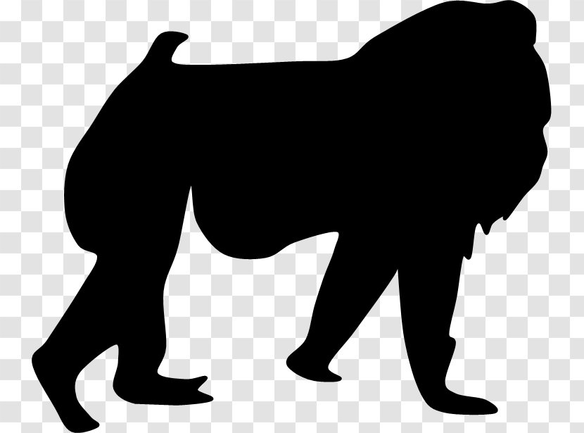 Lion Silhouette - Vertebrate Transparent PNG