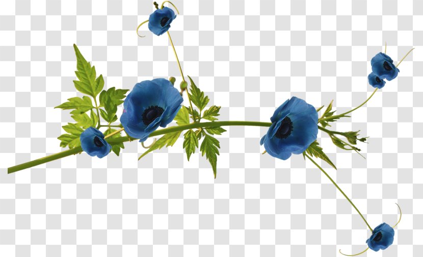 Blue Flower Clip Art Floral Design - Plant Transparent PNG