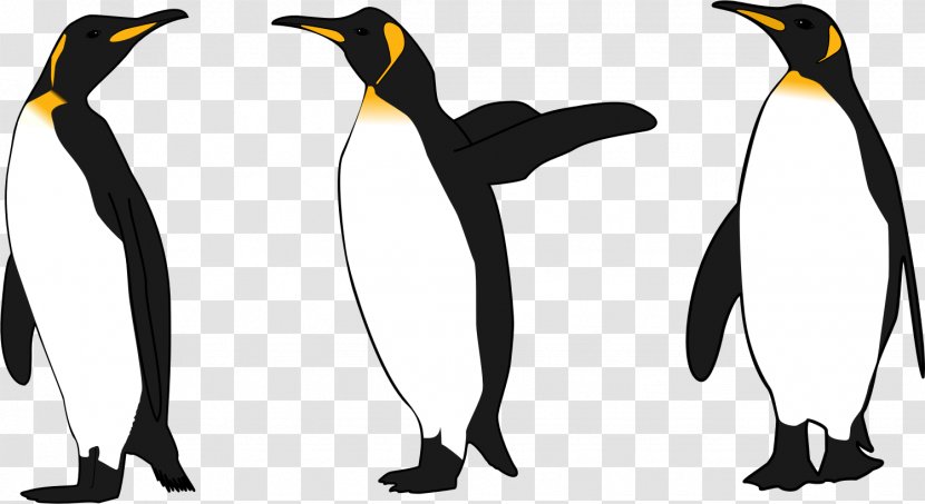 King Penguin Emperor Clip Art - Penguins Transparent PNG