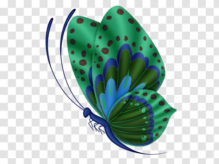 Butterfly Desktop Wallpaper Insect Clip Art - Butterflies And Moths Transparent PNG