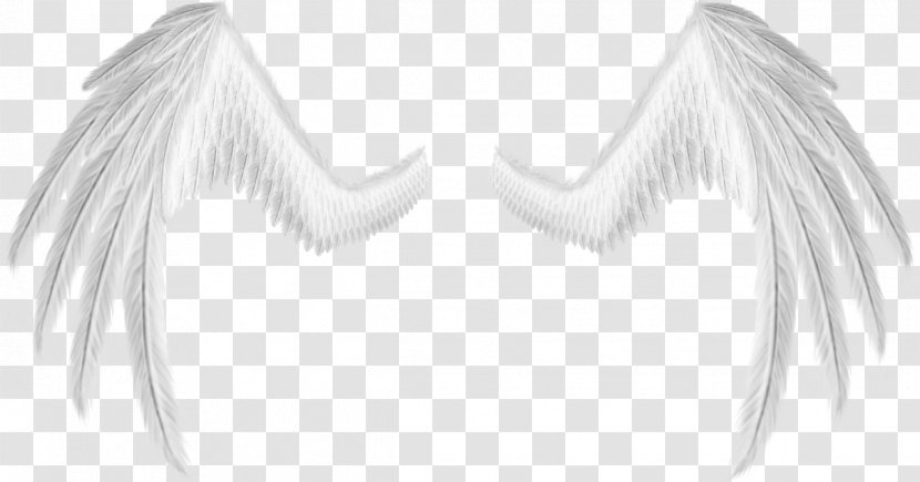 White Line Art Neck Angel M Font - Supernatural Creature - Feather Transparent PNG