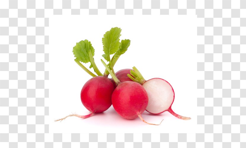 Radish Food Turnip Photography - Vegetable Transparent PNG