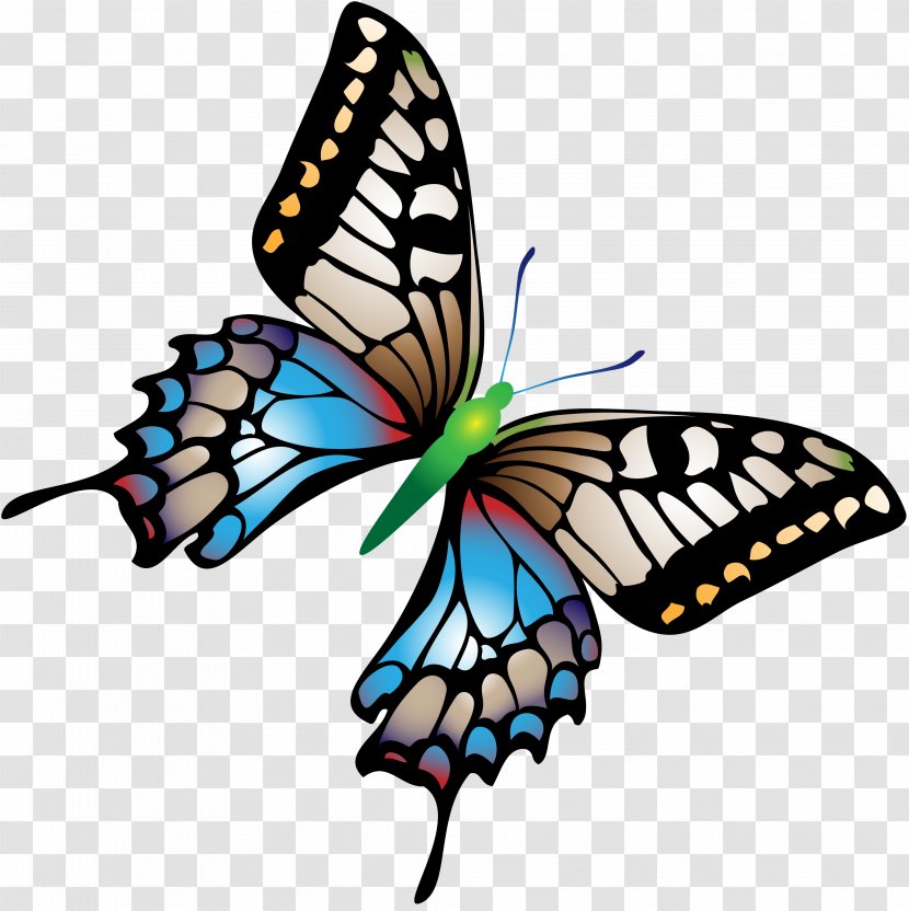 Butterfly Papillon Dog Insect - Moths And Butterflies Transparent PNG