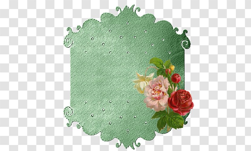 Floral Design Flower Petal - Rose Order Transparent PNG
