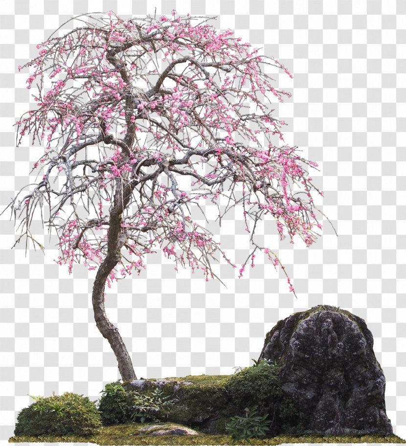 Psd Image Clip Art Adobe Photoshop - Spring - Flowering Tree Transparent PNG