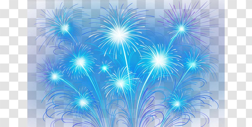 Fireworks Tangyuan Traditional Chinese Holidays New Year - Event Transparent PNG