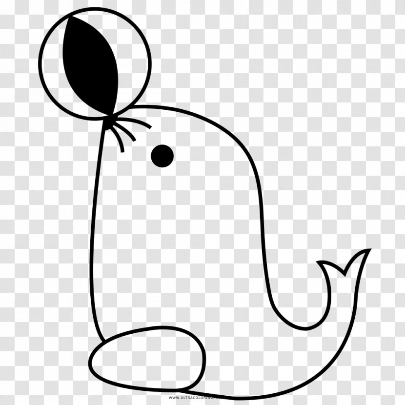 Earless Seal Drawing Coloring Book Black And White Line Art - Photography - Monochrome Transparent PNG