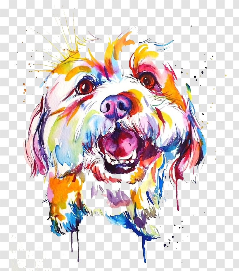 Dog Breed Watercolor Painting Border Collie Shih Tzu - Snout Transparent PNG