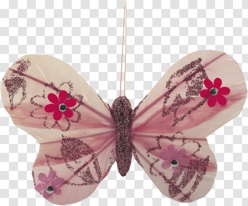 Pink M - Butterfly - Pollinator Transparent PNG