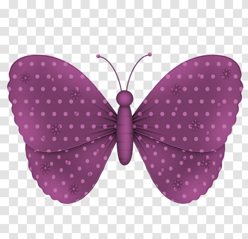 Butterfly Blog Clip Art - Photography Transparent PNG