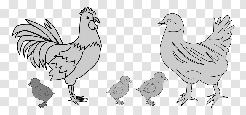 Rooster Chicken Drawing Line Art Clip - Galliformes Transparent PNG