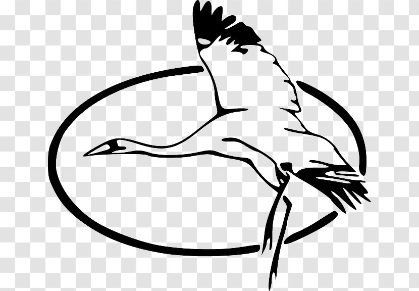 Heron Flight Clip Art - White - Beak Transparent PNG