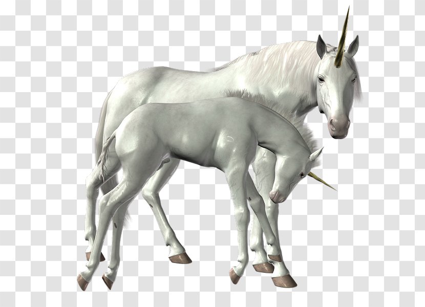 Unicorn Horse Icon PhotoScape - Legendary Creature Transparent PNG