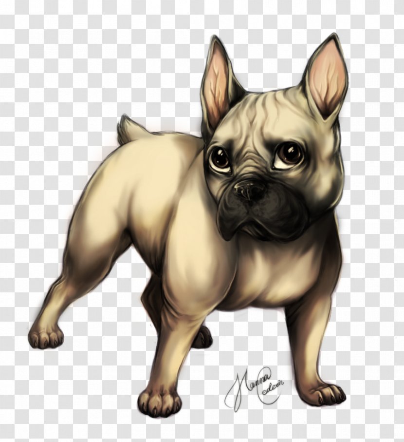 bull terrier french bulldog