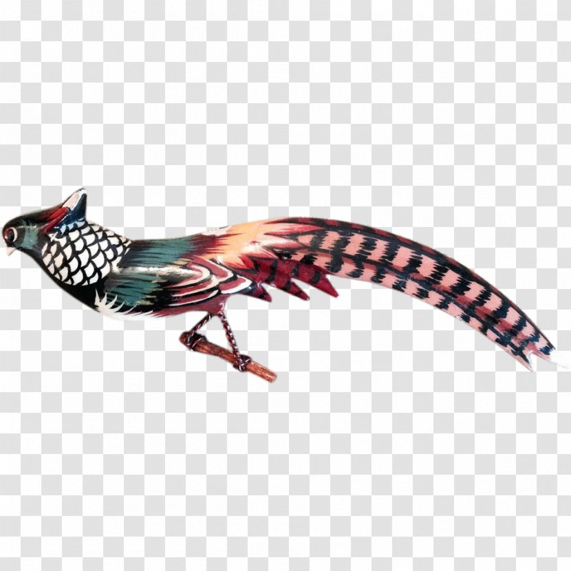 Feather Beak - Wing Transparent PNG