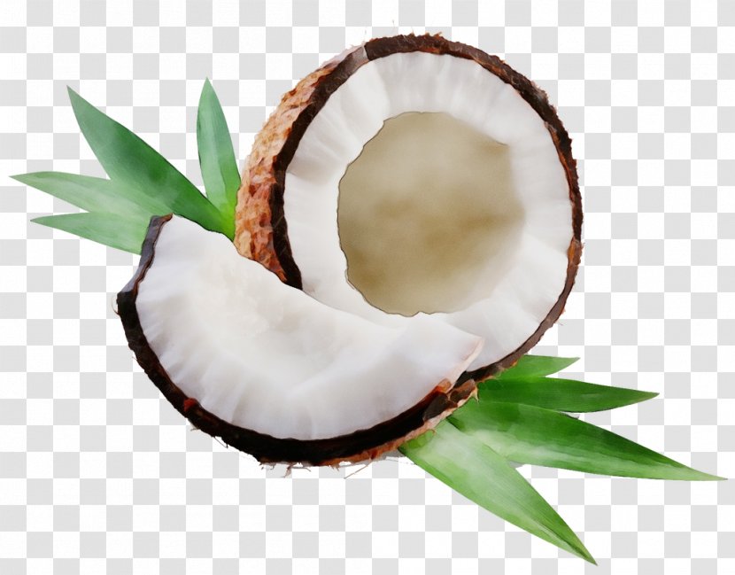 Tooth Cartoon - Wet Ink - Food Coconut Water Transparent PNG