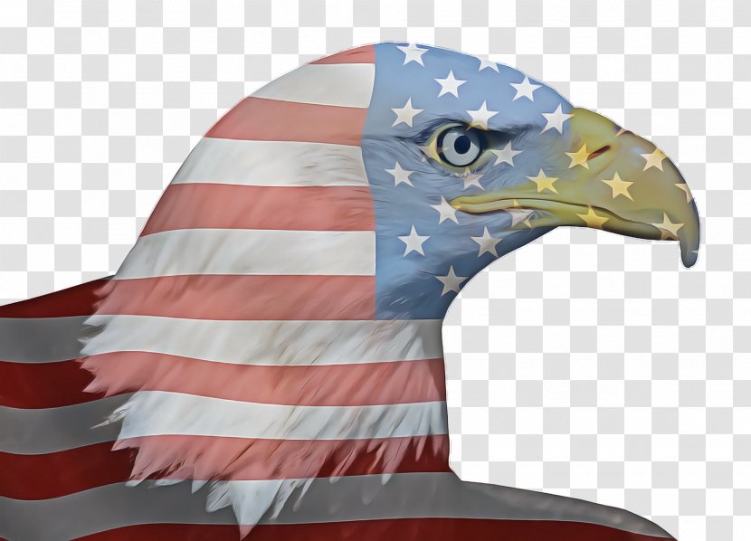 Veterans Day United States - Flag Of The - Falconiformes Hawk Transparent PNG