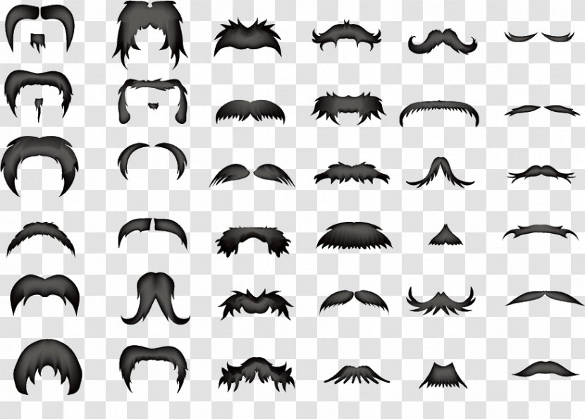 World Beard And Moustache Championships Hairstyle - Text - Various Shapes Transparent PNG