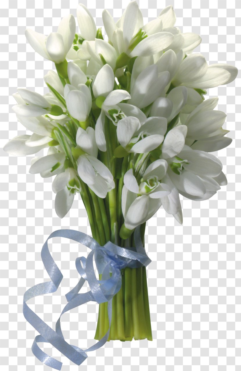 Cut Flowers Desktop Wallpaper Flower Bouquet Galanthus Nivalis - Flowerpot Transparent PNG