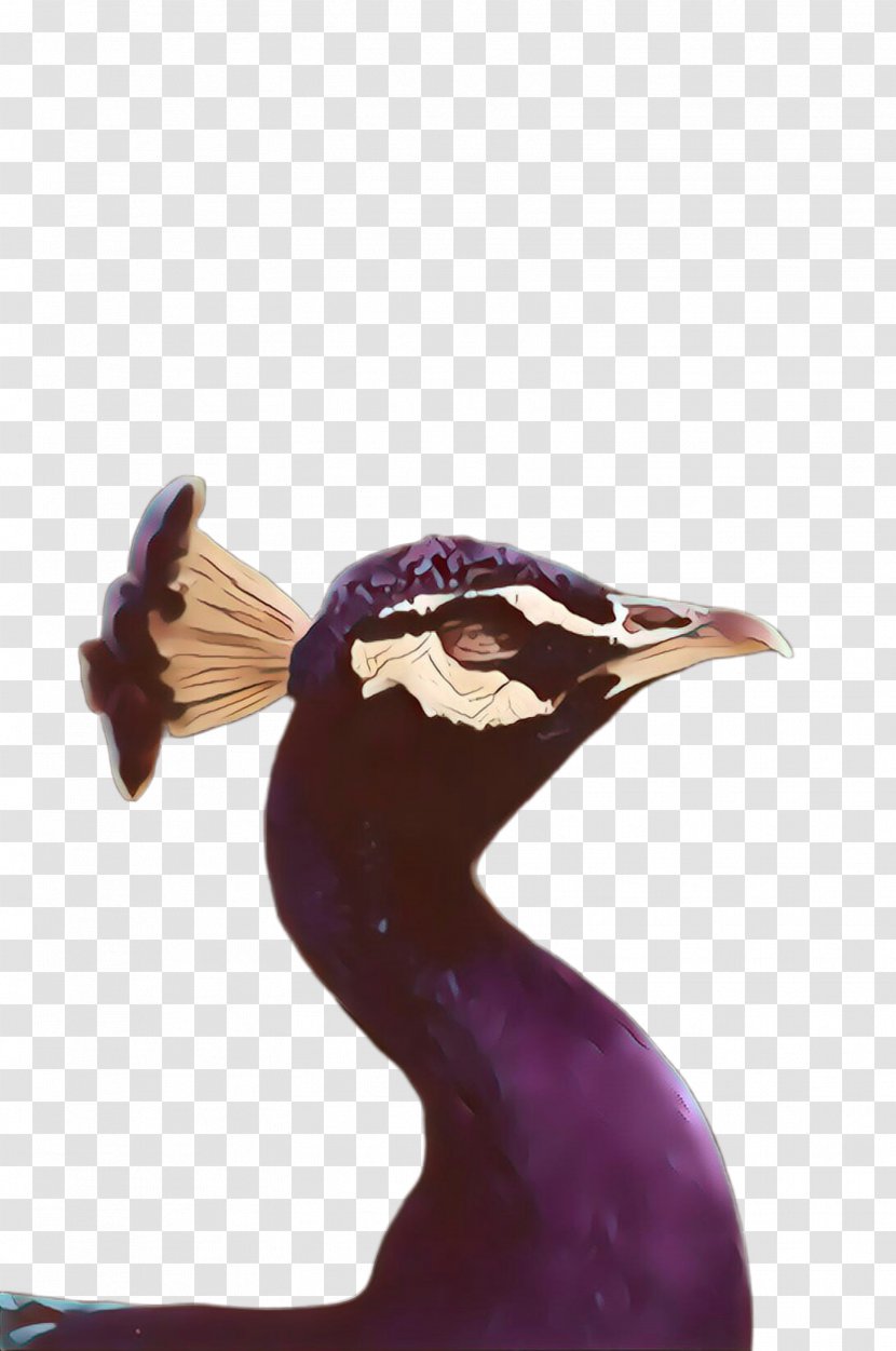 Purple Violet Bird Beak Duck - Ducks Geese And Swans Sculpture Transparent PNG