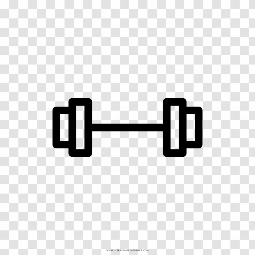 Barbell Dumbbell Weight Training - Fitness Centre Transparent PNG
