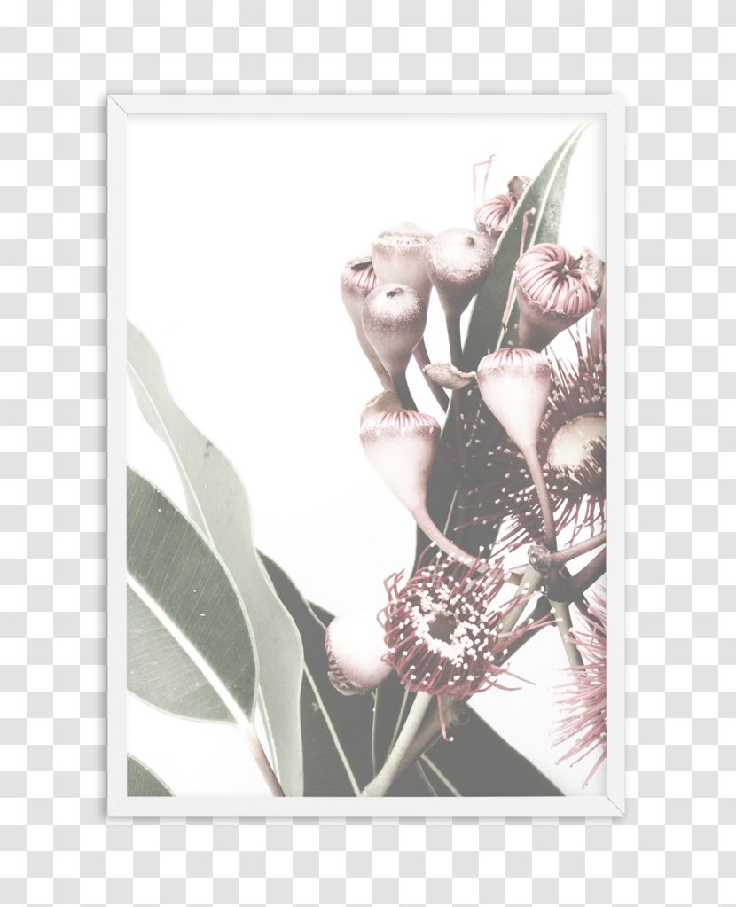 Picture Frames Photography Poster Image - Gum Trees - Bohemian Arrow Transparent PNG