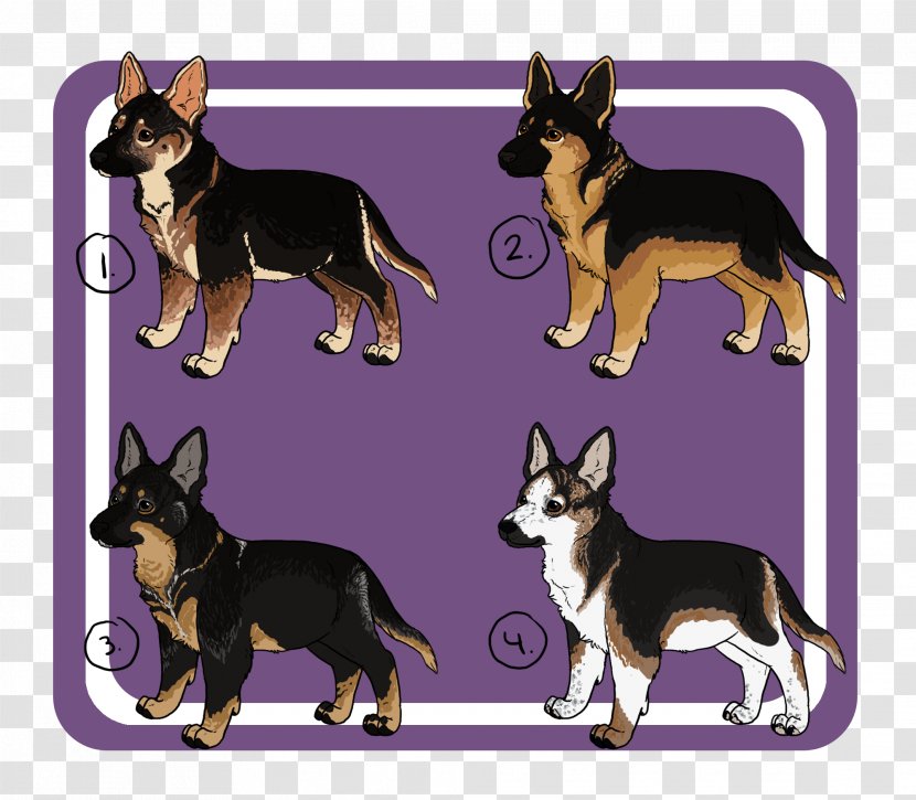 Chihuahua German Shepherd Dog Breed Toy Group (dog) - Tail Transparent PNG