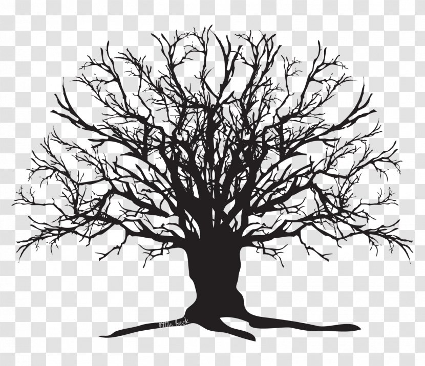 Tree Branch Photography Clip Art - Black And White - Oak Transparent PNG