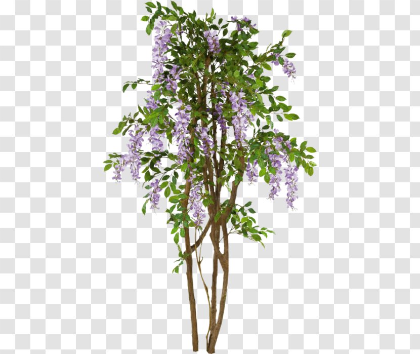 Twig Shrub Tree - Floral Design Transparent PNG