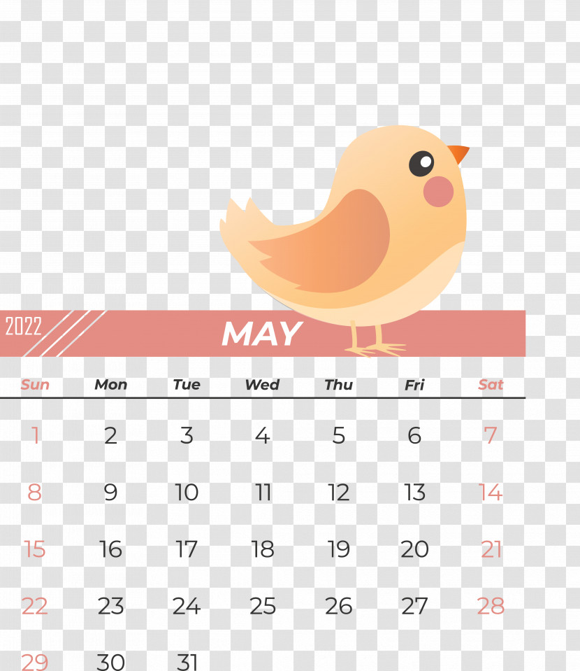 Birds Beak Calendar Meter Science Transparent PNG