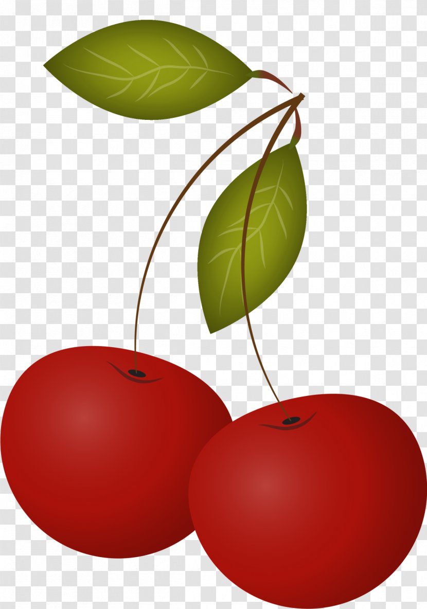 Cherry Leaf Drawing - Fruit - Hand Painted Red Leaves Transparent PNG