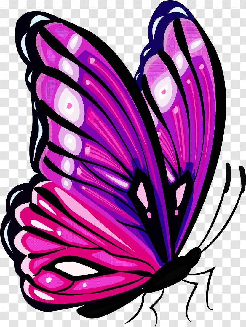 Butterfly Moths And Butterflies Purple Wing Insect - Brushfooted Pink Transparent PNG