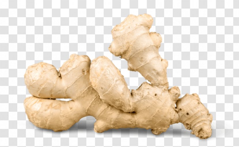 Ginger Root Vegetables Clip Art Image - Vegetable - Cinnamon. Transparent PNG