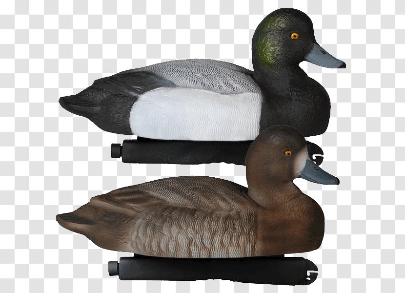 Mallard Duck Decoy Goose - Painting Transparent PNG