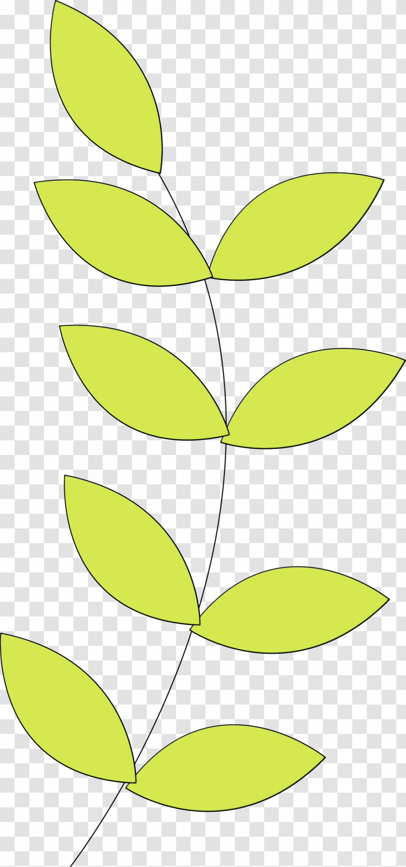 Leaf Plant Stem Angle Line Yellow Transparent PNG