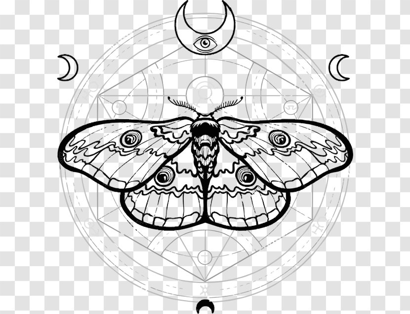 Sacred Geometry Butterfly Moth Drawing Transparent PNG
