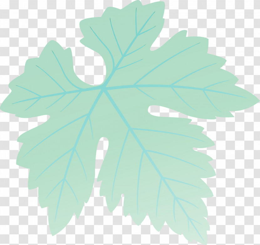 Maple Leaf Transparent PNG