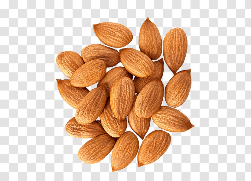 Nut Almond Milk Butter Food - Meal Bars Transparent PNG