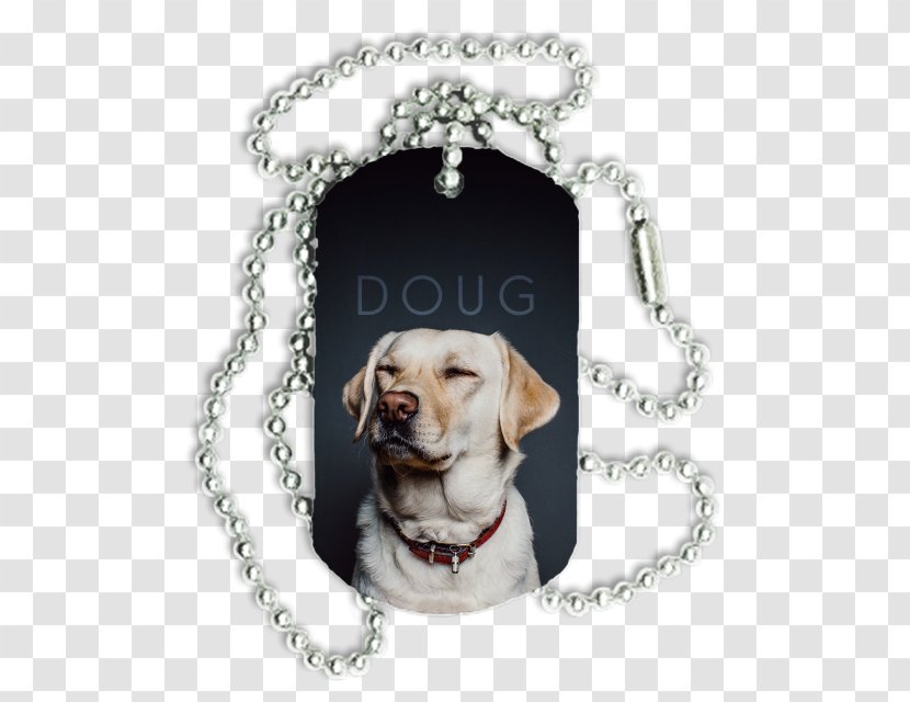 Cat Dog Apple IPhone 8 Plus 7 Film - Jewellery - Crazy Cow Transparent PNG