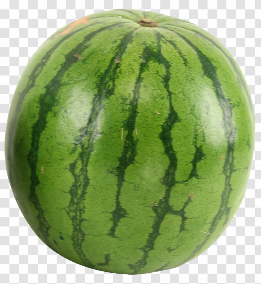 Juice Watermelon Muay Thai Transparent PNG