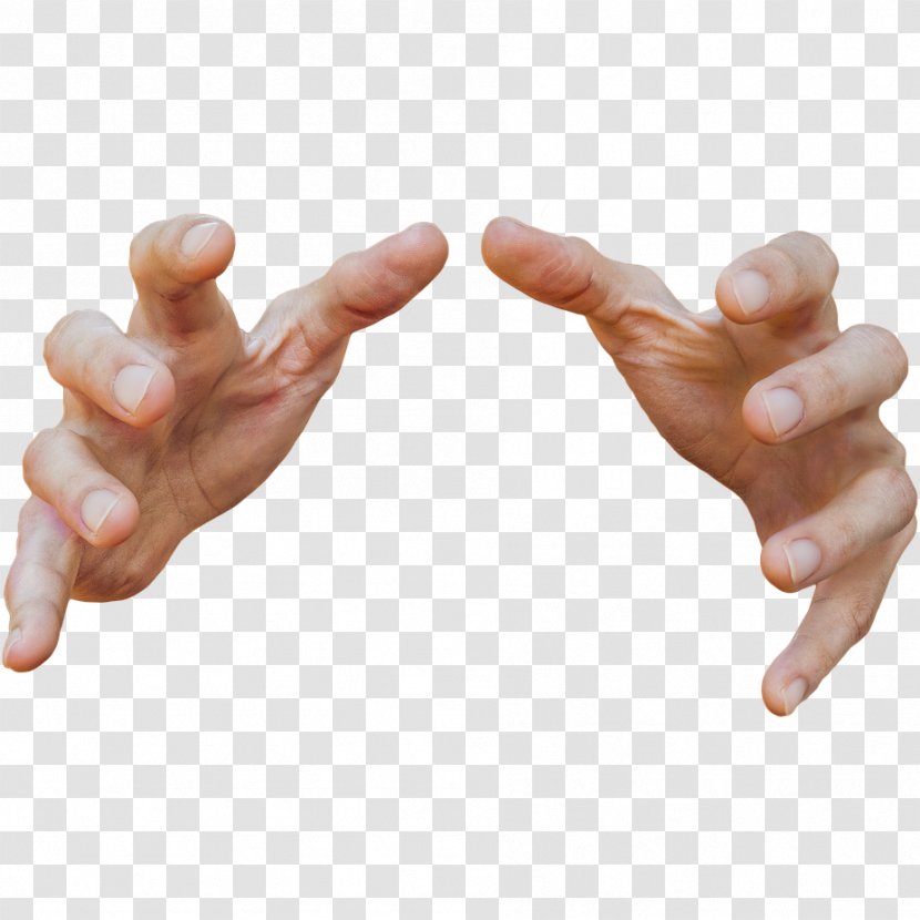 Finger Hand Thumb Gesture Arm - Nail Sign Language Transparent PNG
